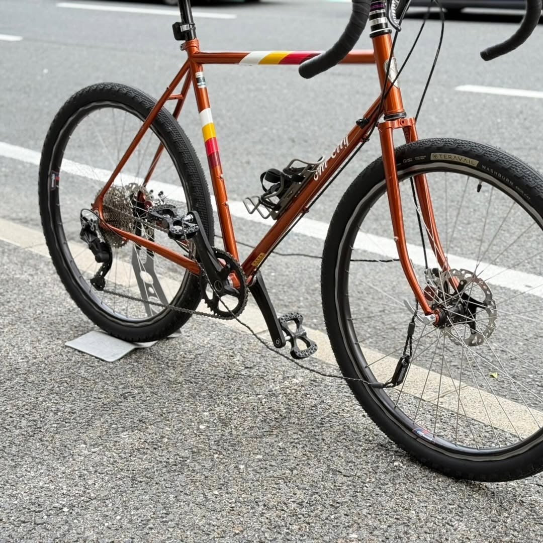 wanawa lock TAMBAR ワナワロック カラビナロック ロープロック 盗難補償 自転車セキュリティ オーストリッチ製ポーチ