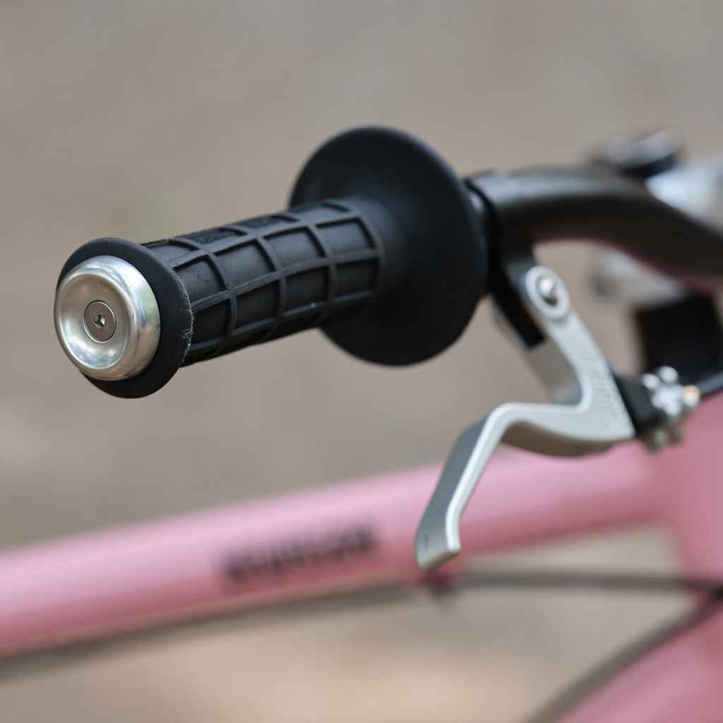 FW-25 large bar end