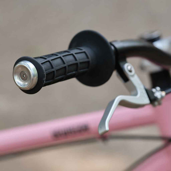 FW-25 large bar end
