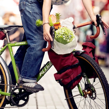 Pico Panniers