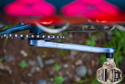 PAUL 100% PURE CRANKS JIS PHOTO COLLECTION