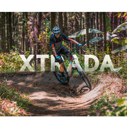 XTRADA 6