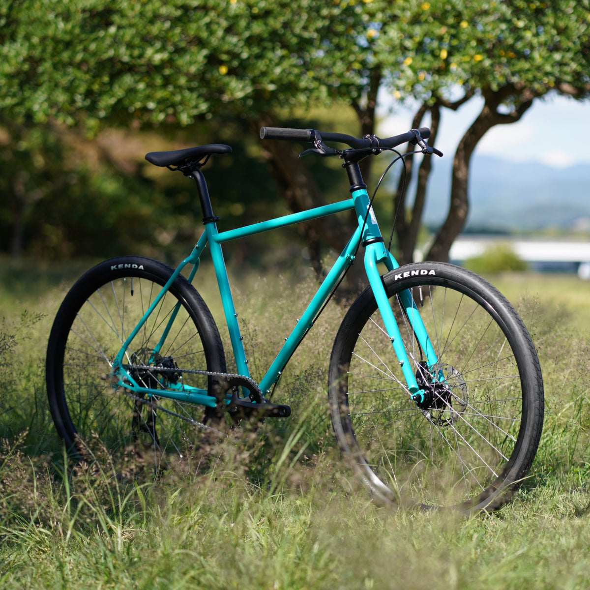 【京都/店頭お渡し限定】NS-S1