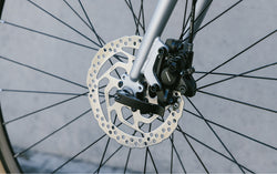【2026年モデル】RAIZ DISC PHOTO COLLECTION