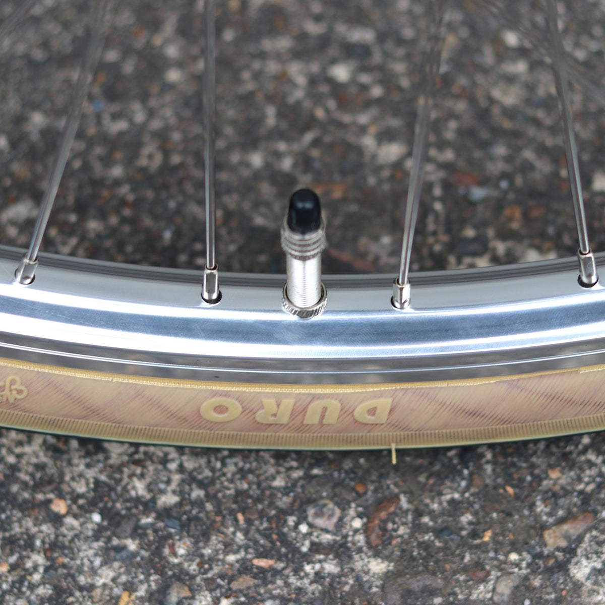 RSM（RSW Sport Mixte）
