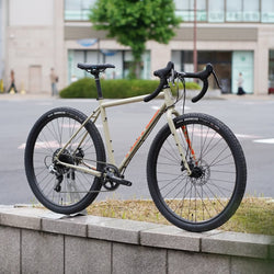 【2026年モデル】ROVE ST DL PHOTO COLLECTION