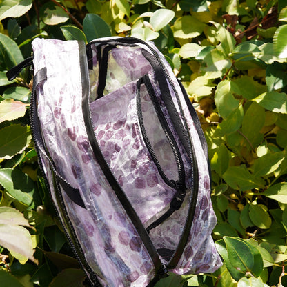 【2025 Zodiac Limited Edition Snake】Nuts Pack DCF