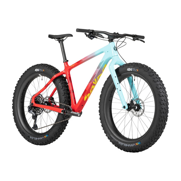 BEARGREASE C X01 EAGLE（Red/Teal）
