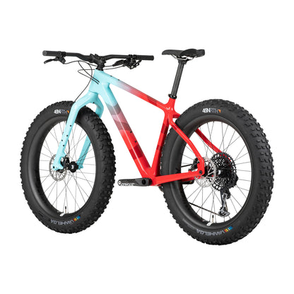 BEARGREASE C X01 EAGLE（Red/Teal）