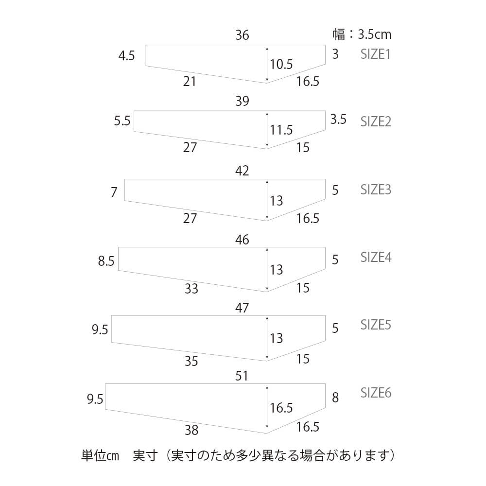 EXP Series Cholla Half-Frame Bag Salsa ハーフフレームバッグ グラベル フレームバッグ ボトル併用 フレームバッグ バイクパッキング バッグ コーデュラナイロン バッグ ダイレクトマウント バッグ Adventure by Bike バッグ
