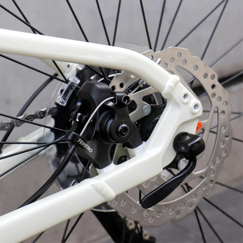 JOURNEYER CLARIS 700C（TAN）