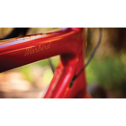 17 WARBIRD CARBON（Frame set｜RED/ORANGE）
