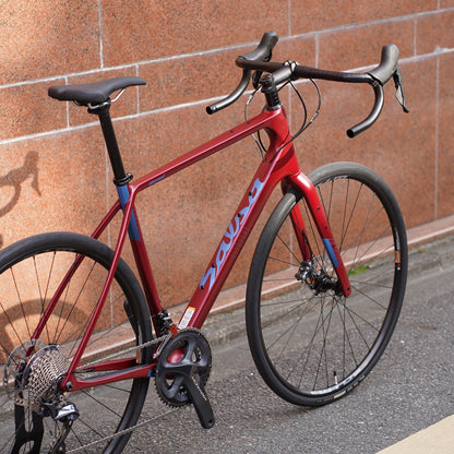 WARROAD CARBON ULTEGRA（Dark Red）