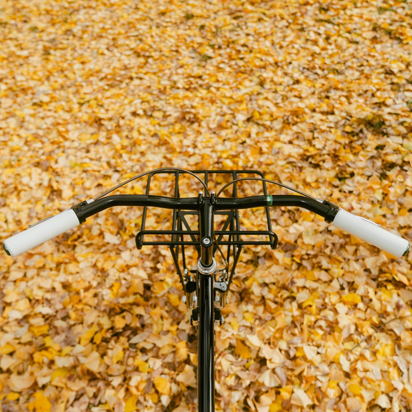 Fun 3 CrMo Bar SimWorks ハンドル ATB ハンドルバー クロモリ ハンドルバー バックスイープ ハンドル 25.4mm クランプ ハンドル NITTO 製 ハンドル グラベル ハンドル