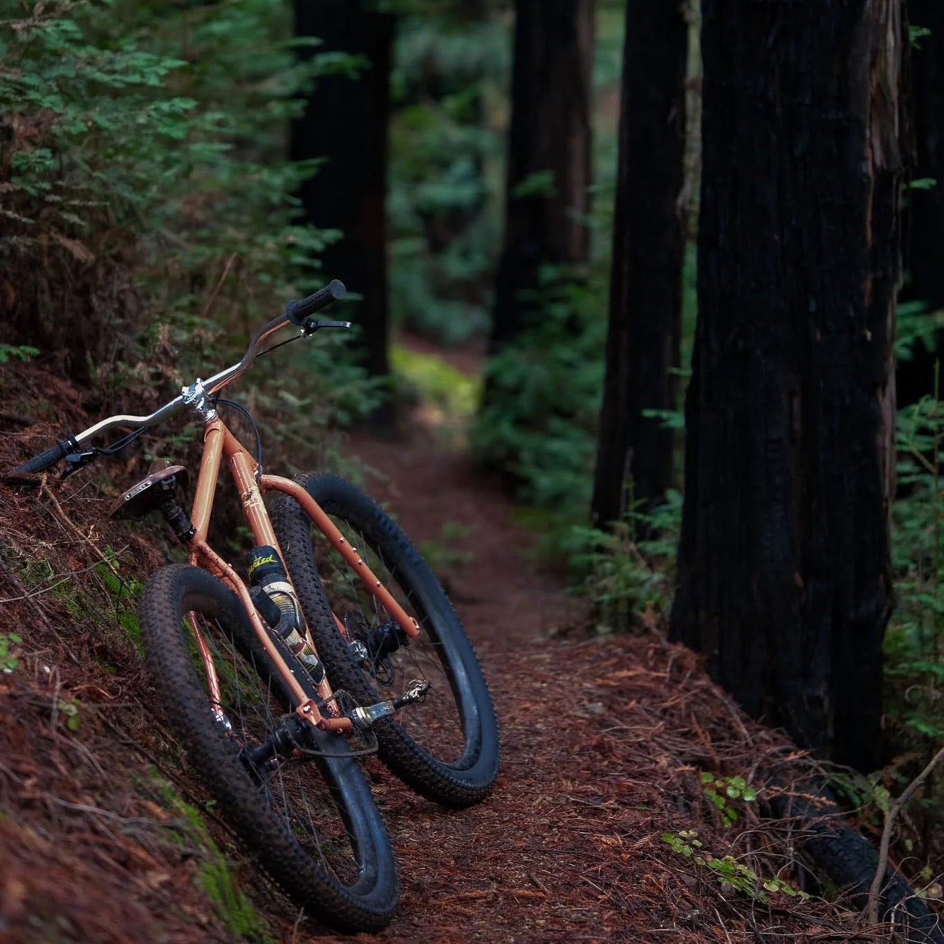 PBJ Frame Set SKLAR BIKES スカラー オールテレインバイク グラベルバイク アドベンチャーバイク ツーリングバイク バイクパッキング MTBフレームセット