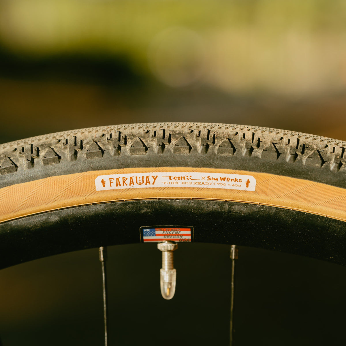 【Tomii Cycles × Sim Works】Faraway Tire