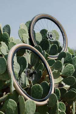 【Tomii Cycles × Sim Works】Faraway Tire PHOTO COLLECTION
