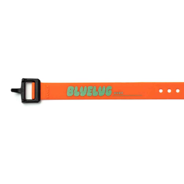 nylon buckle strap BL special 15inch