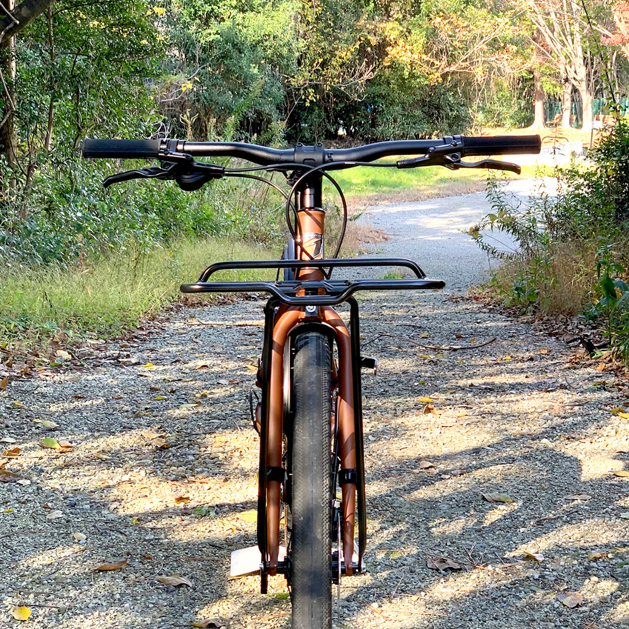 CARGO LITE アトランヴェロ 自転車 フロントキャリア 大型 自転車ラック AVS対応 自転車 キャンプキャリア 自転車 荷物キャリア フロントラック おしゃれ 自転車 カスタムパーツ