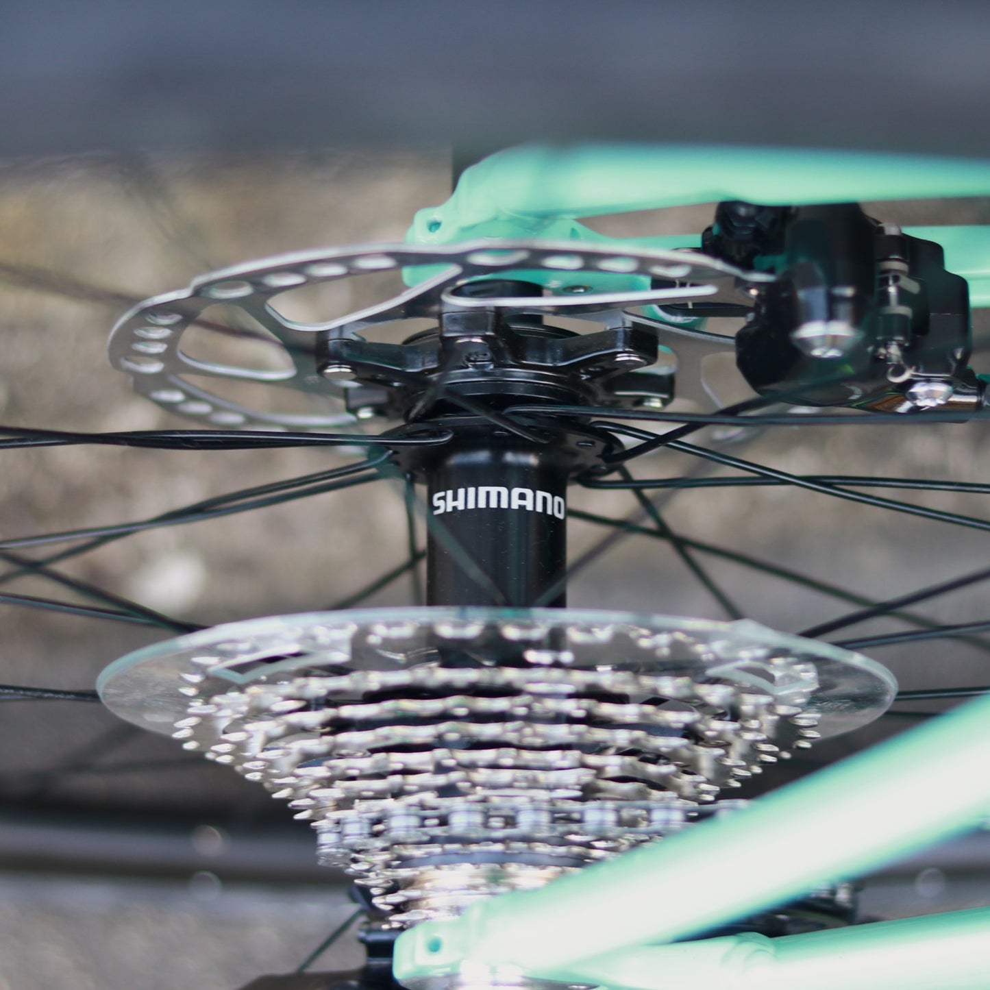 【在庫セール！】【2025年モデル】VIA NIRONE 7 DISC 105 ビアンキ ロードバイク endurance bike ロングライド 自転車 SHIMANO 105 ディスク カスタムロード ロードバイク 初心者 フルカーボンフォーク