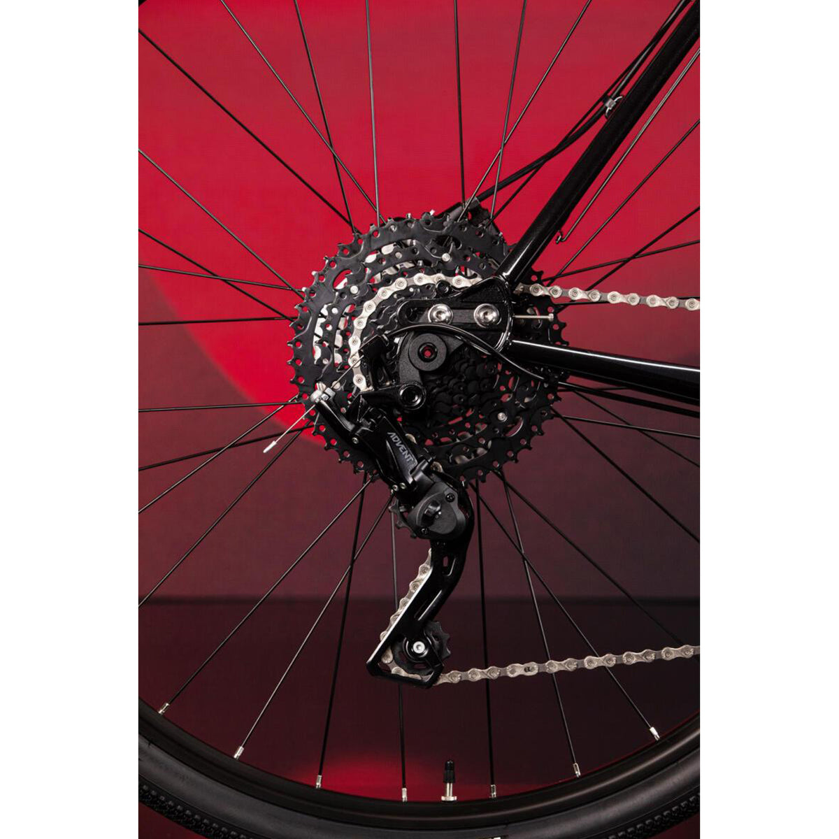 【京都/店頭お渡し限定】ARISE GEARED