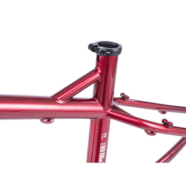 【京都/店頭お渡し限定】CALE  Frame only