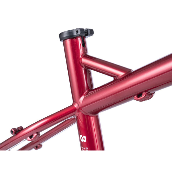 【京都/店頭お渡し限定】CALE  Frame only