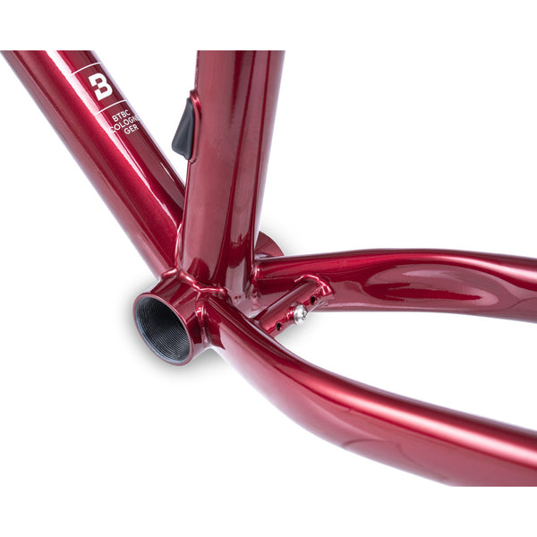 【京都/店頭お渡し限定】CALE  Frame only