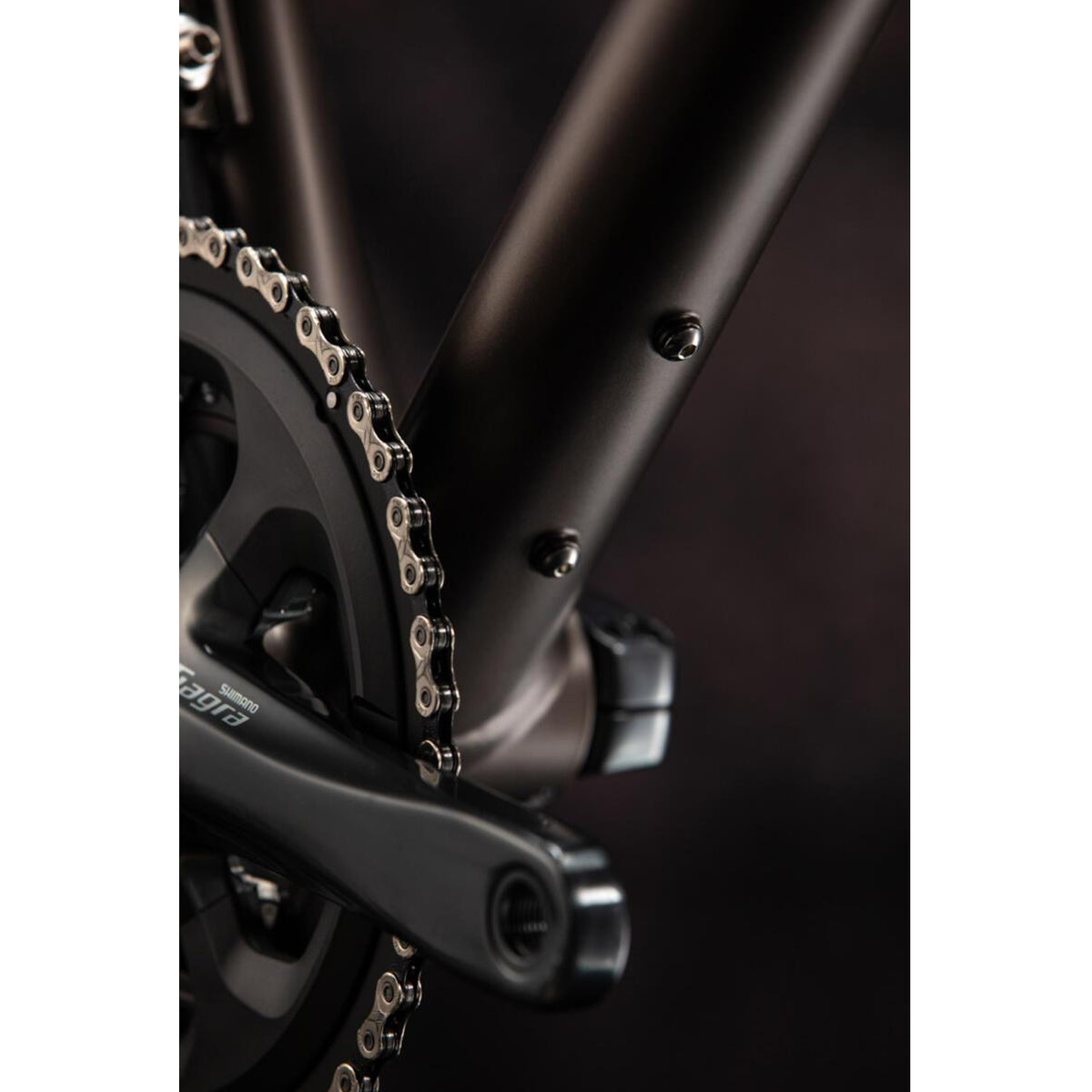 【京都/店頭お渡し限定】AUDAX AL ROAD