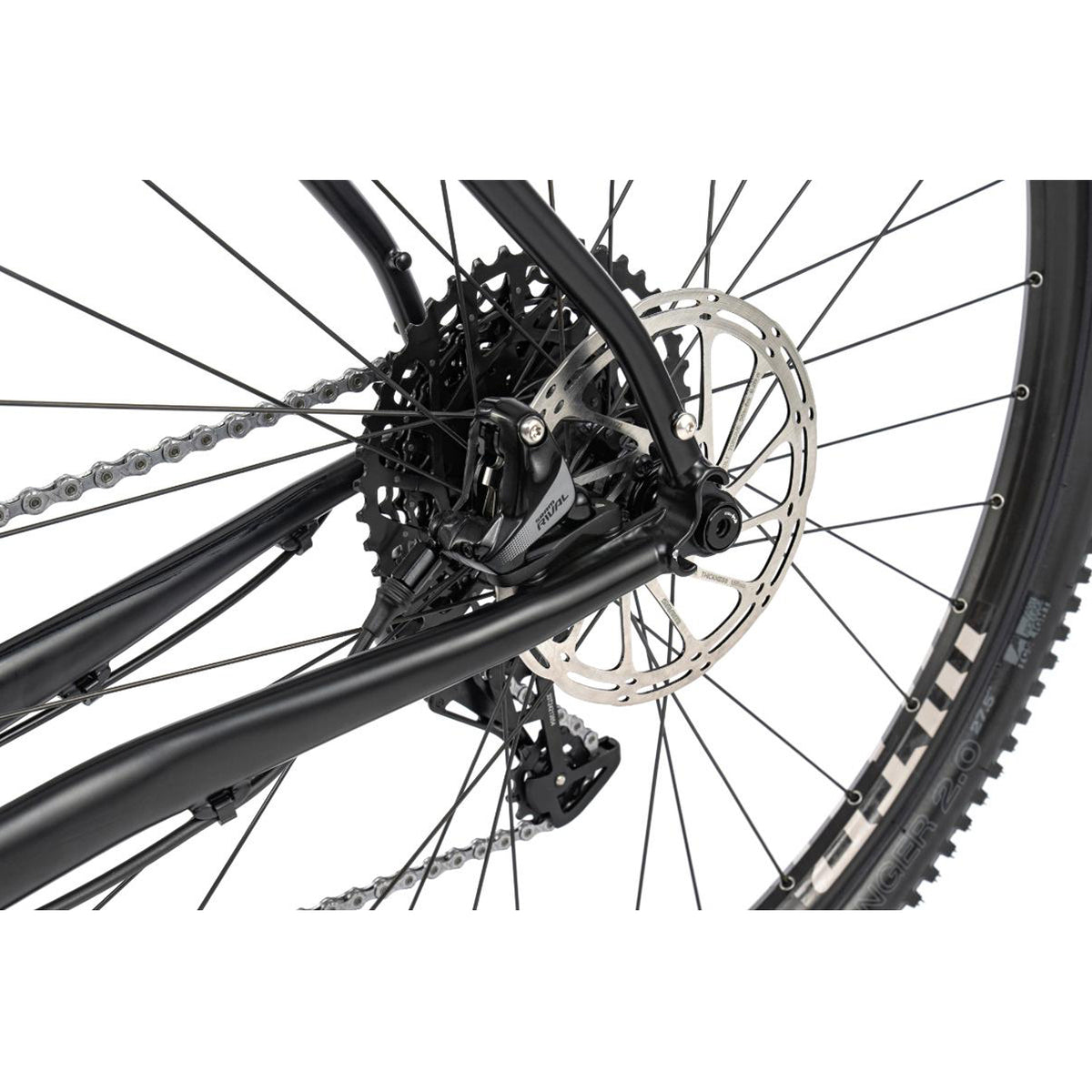 【京都/店頭お渡し限定】HOOK EXT