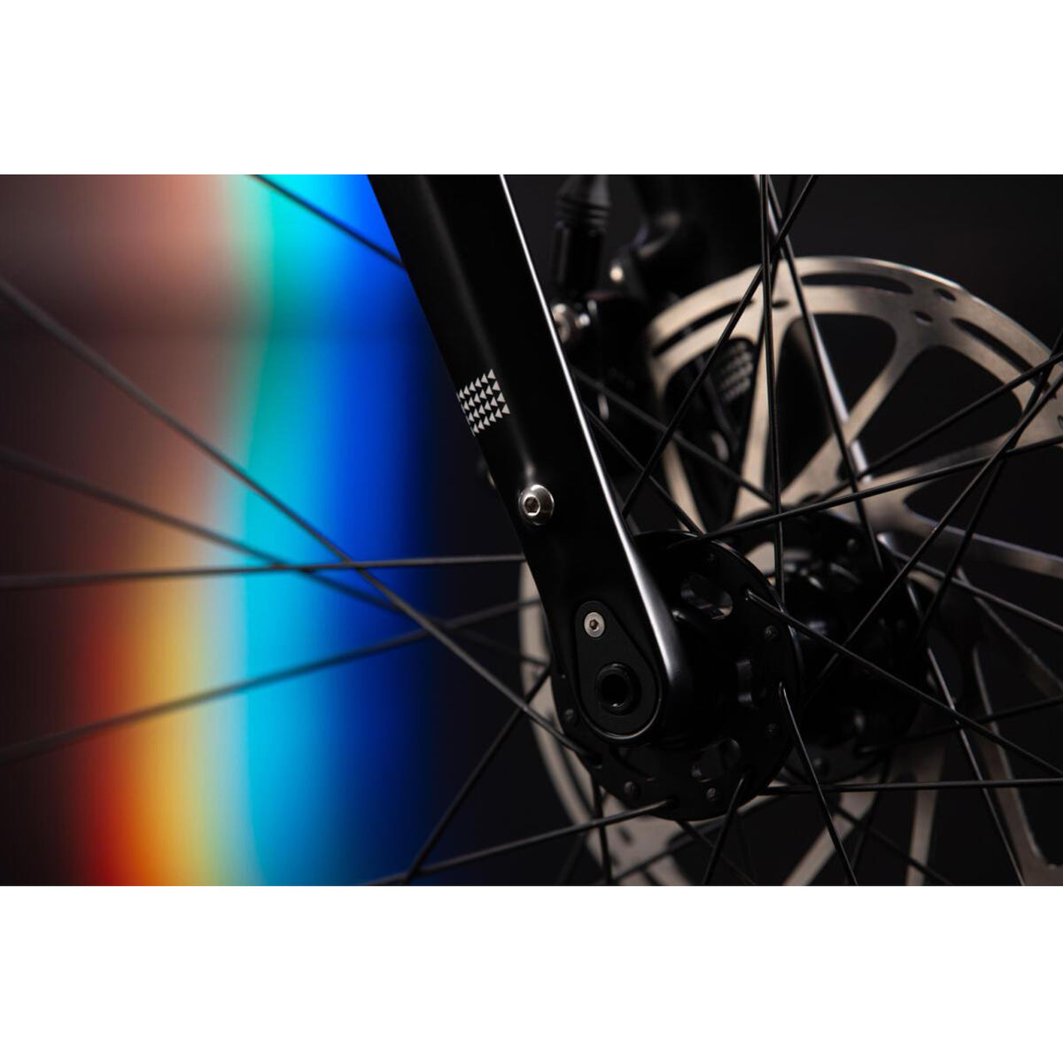 【京都/店頭お渡し限定】HOOK EXT