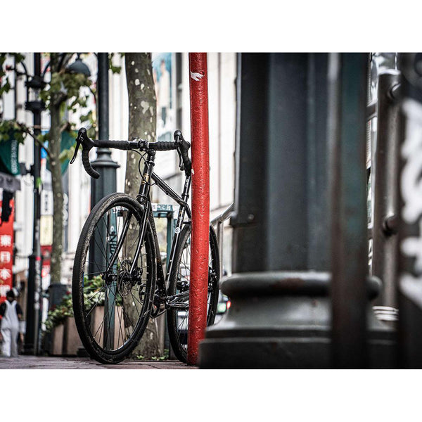 【京都/店頭お渡し限定】ARISE