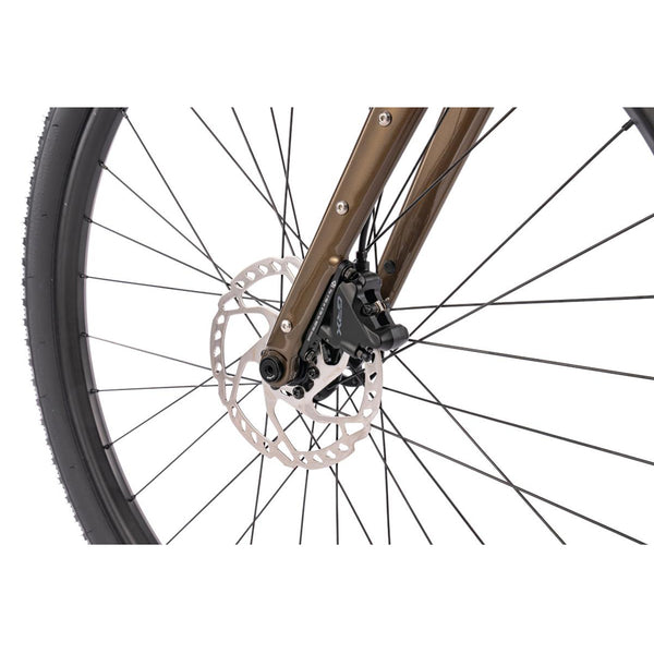 【京都/店頭お渡し限定】AUDAX