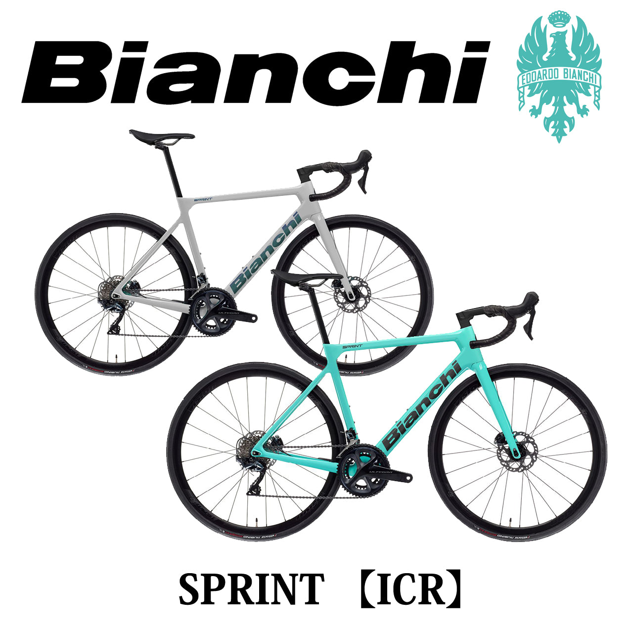 SPRINT【ICR】