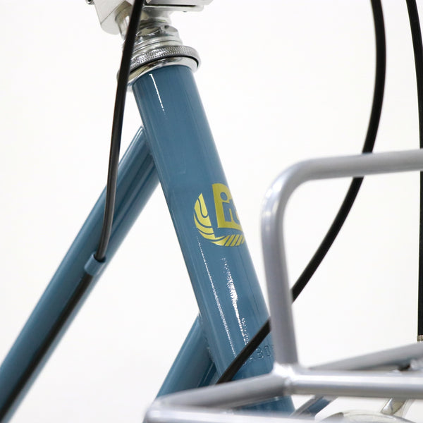 Trove（original custom bike）