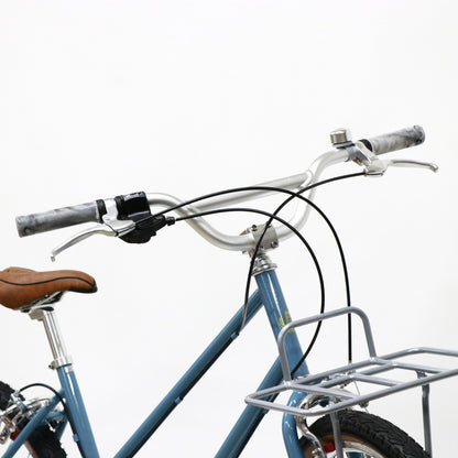 Trove（original custom bike）