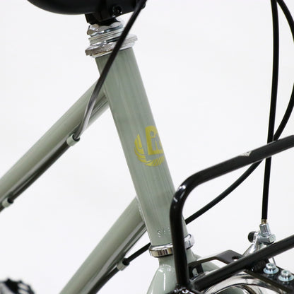 Trove (original custom bike)