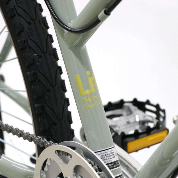 Trove (original custom bike)