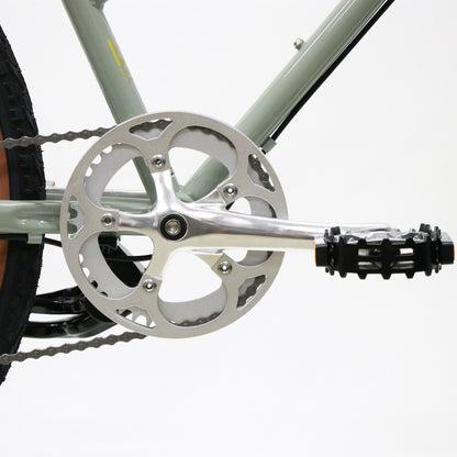 Trove (original custom bike)