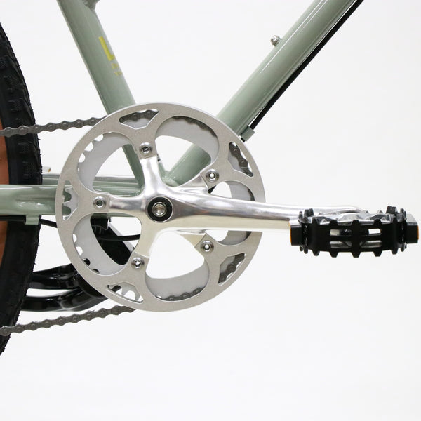 Trove (original custom bike)