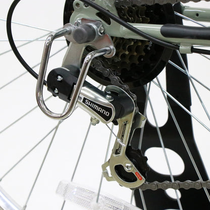 Trove (original custom bike)