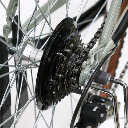 Trove (original custom bike)