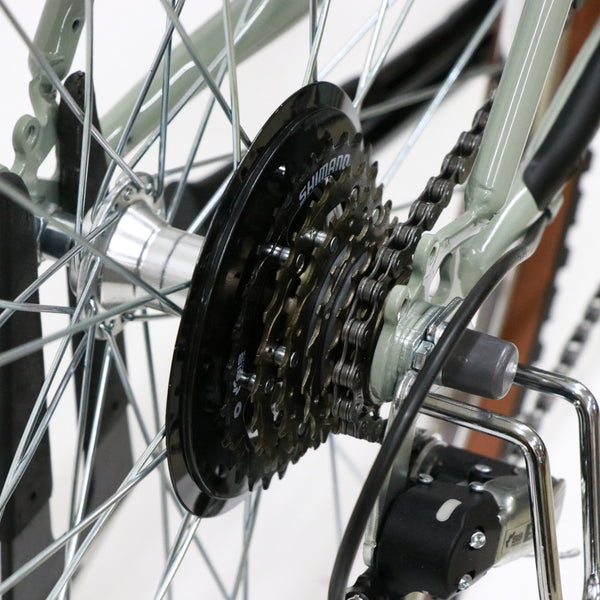 Trove (original custom bike)