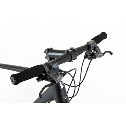 【型落ちセール！】【2025年モデル】ALTERNA FLAT