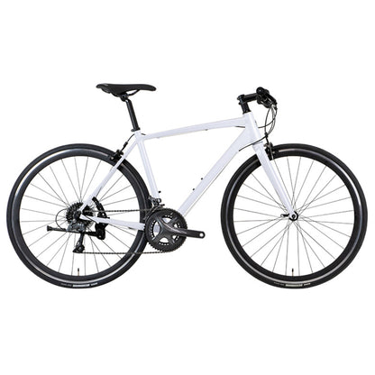 【型落ちセール！】【2025年モデル】ALTERNA FLAT