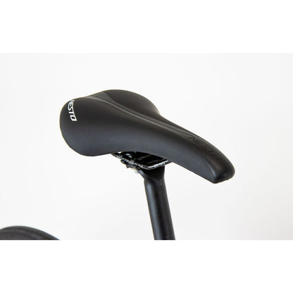 【型落ちセール！】【2025年モデル】ALTERNA