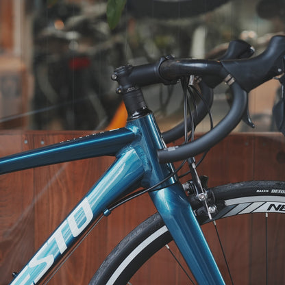 【型落ちセール！】【2025年モデル】ALTERNA