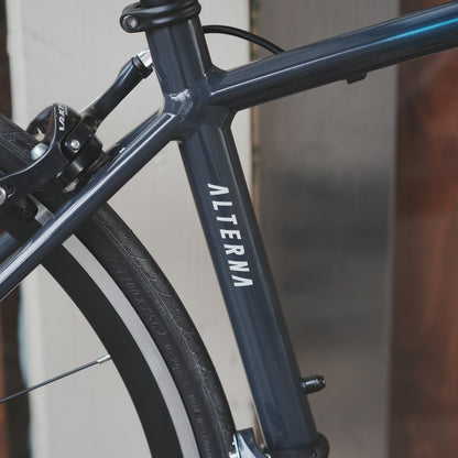 【型落ちセール！】【2025年モデル】ALTERNA