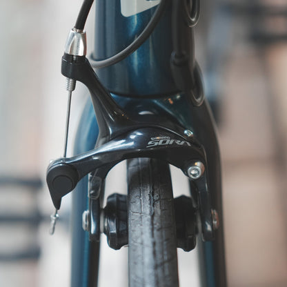 【型落ちセール！】【2025年モデル】ALTERNA