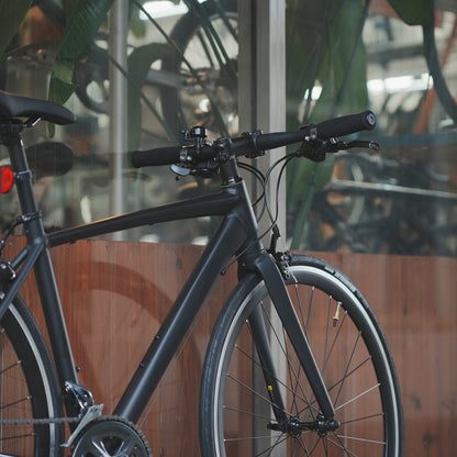 【型落ちセール！】【2025年モデル】ALTERNA FLAT